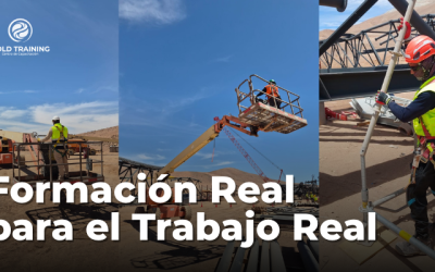 Cursos Presenciales en Gold Training: Formación Real para el Trabajo Real